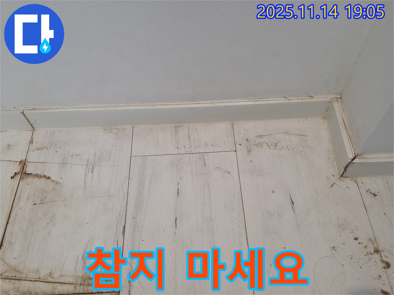 신림 누수 - 젖은 장판, 더 이상 참지 마세요!