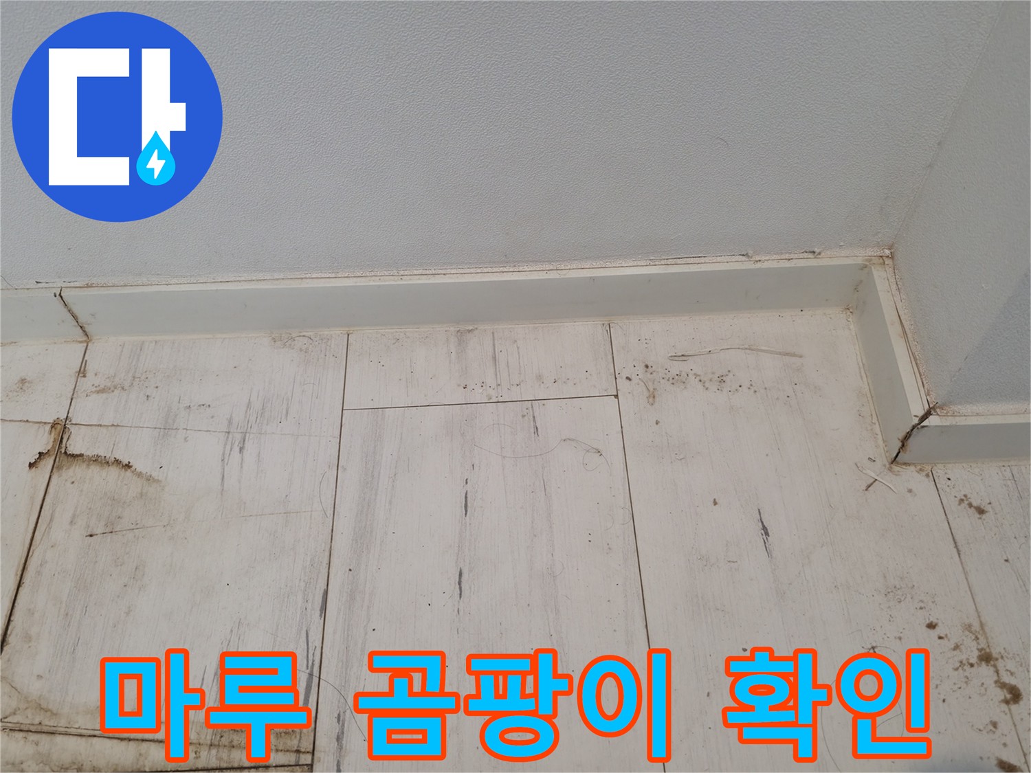 관악구 누수 탐지 - 마루 곰팡이 발생 원인 조사