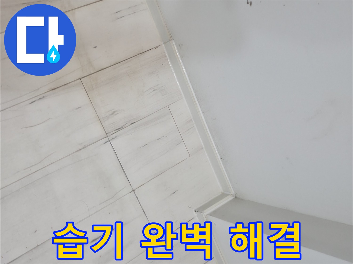 관악구 장판 밑 습기 누수 - 누수 피해 예방 및 건물 안전 확보