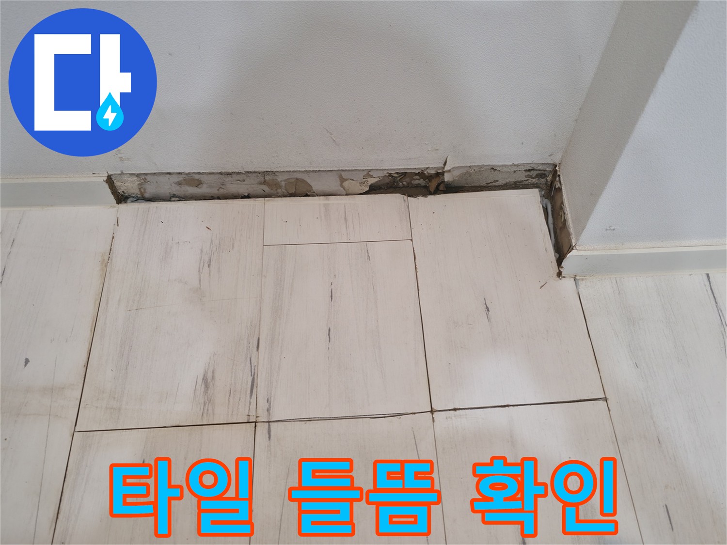 신림동 관악구 누수 - 타일 들뜸 원인 파악을 위한 정밀 진단