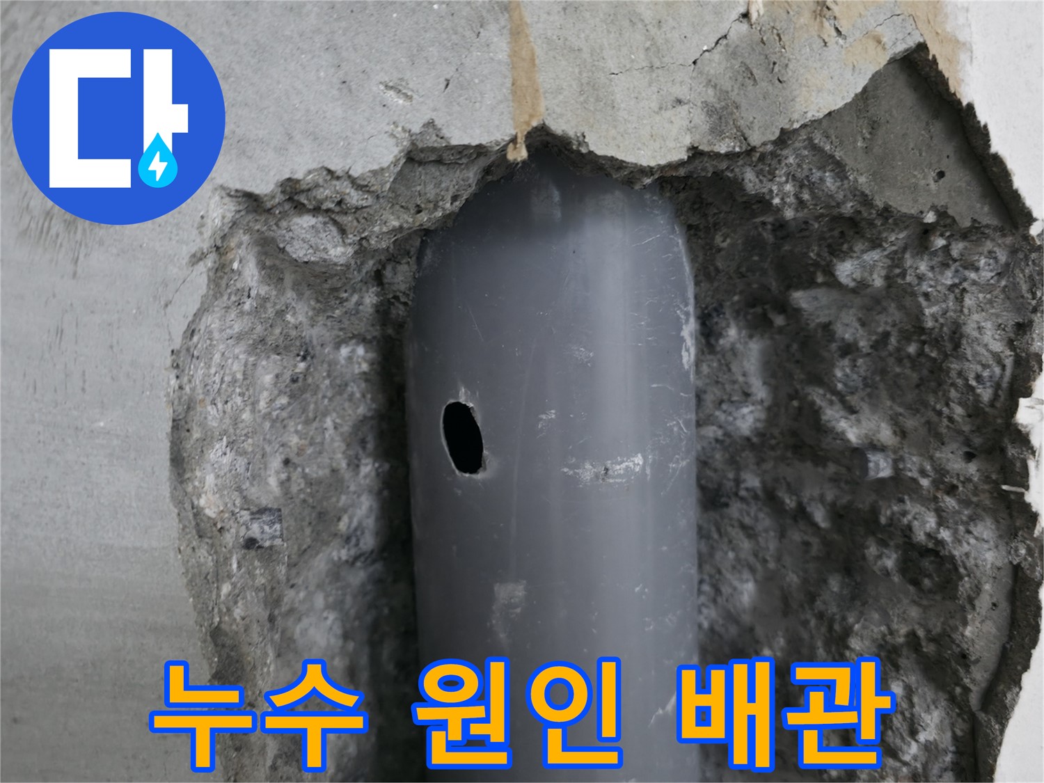 성북구 스카이힐스테이 아파트 누수 원인 - 손상된 배관에서 누수 발생