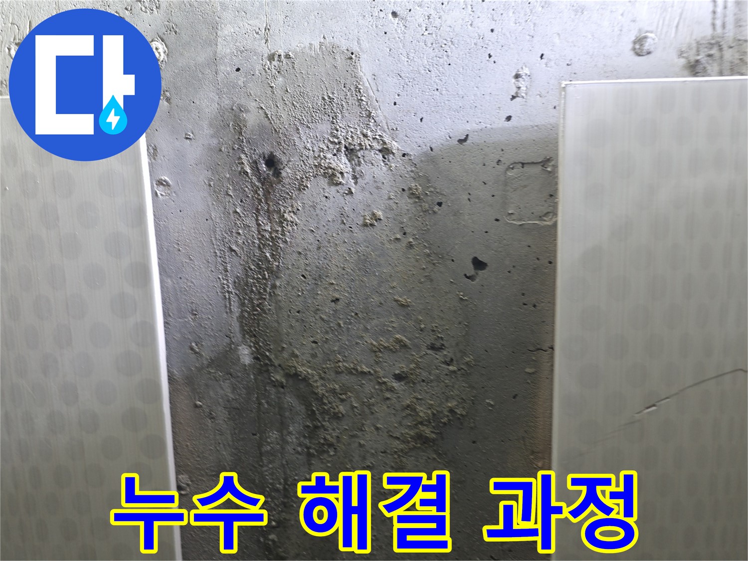 성북구 스카이힐스테이 천장 누수 - 누수 문제 해결을 위한 전문가의 노력