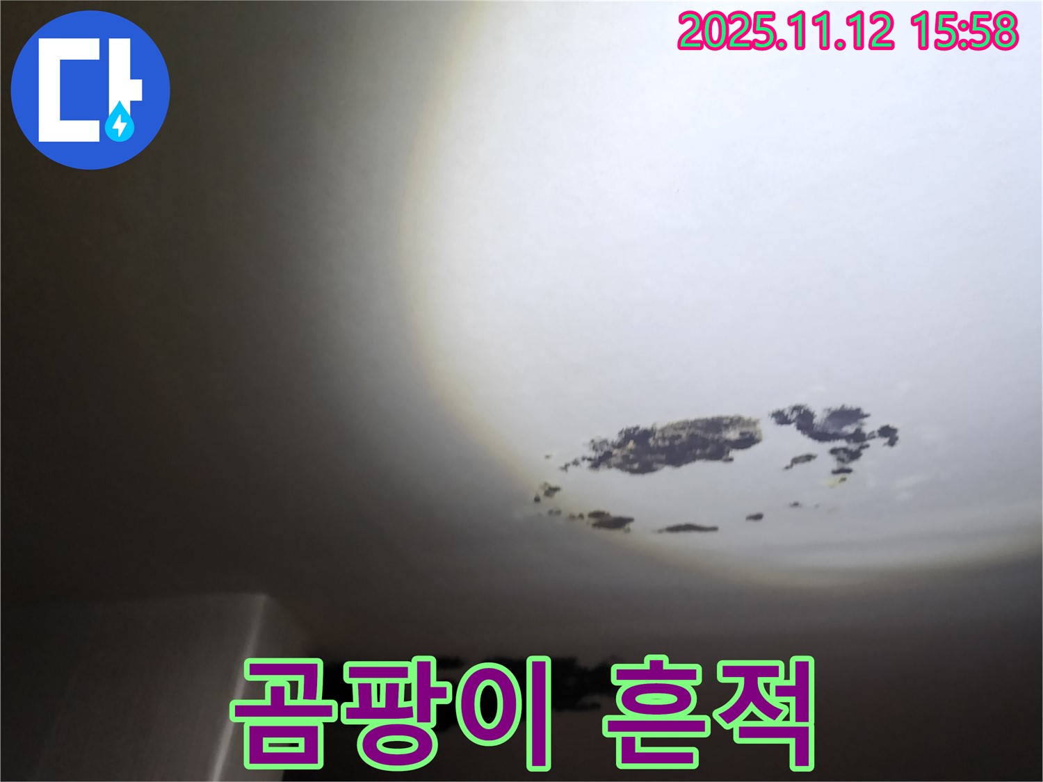구읍리 - 곰팡이가 피어 얼룩진 천장 누수 현장