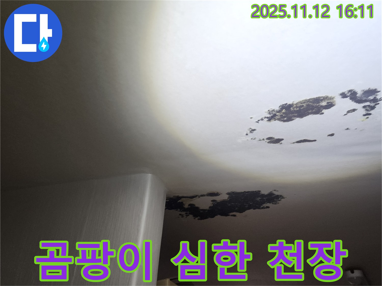 구읍리 누수 - 곰팡이가 심하게 핀 천장