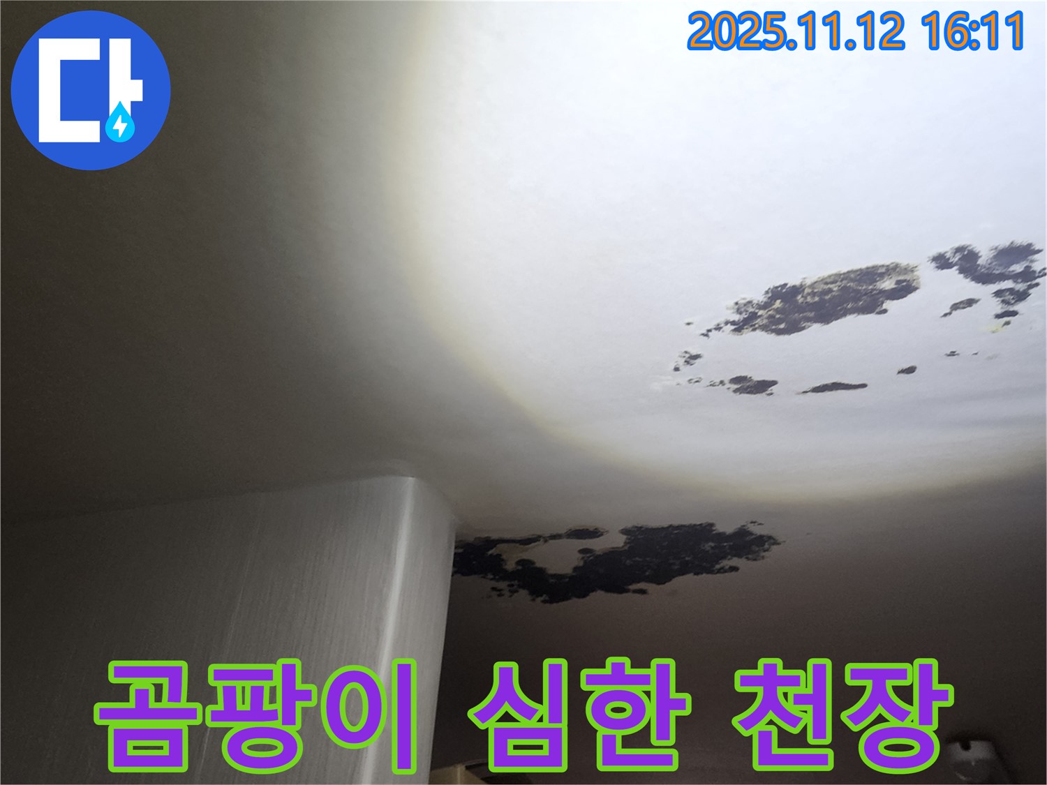 구읍리 누수 - 곰팡이가 심하게 핀 천장