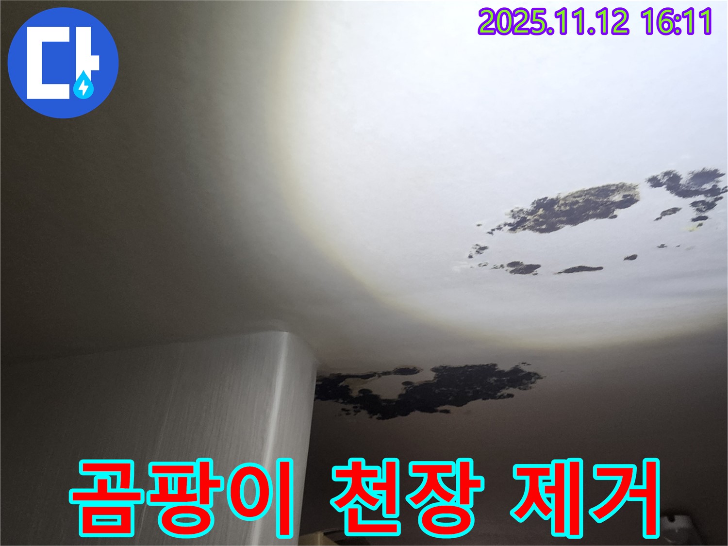 구읍리 누수 - 곰팡이로 뒤덮인 천장 완벽 제거