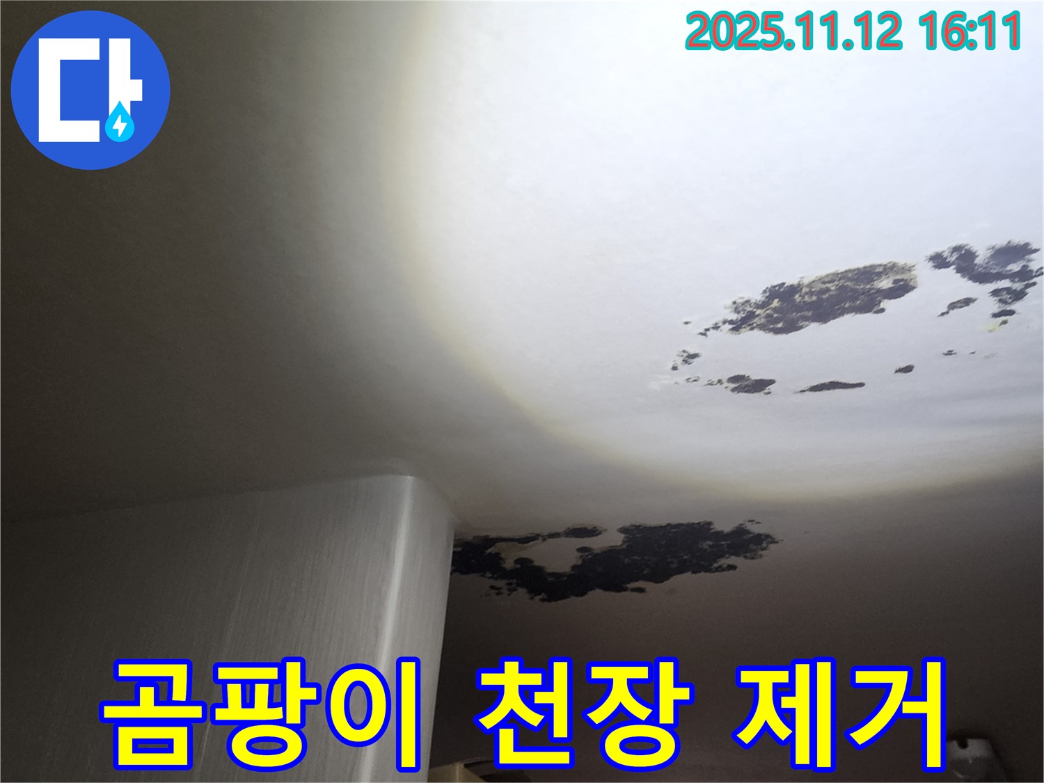 구읍리 누수 - 곰팡이로 뒤덮인 천장 완벽 제거