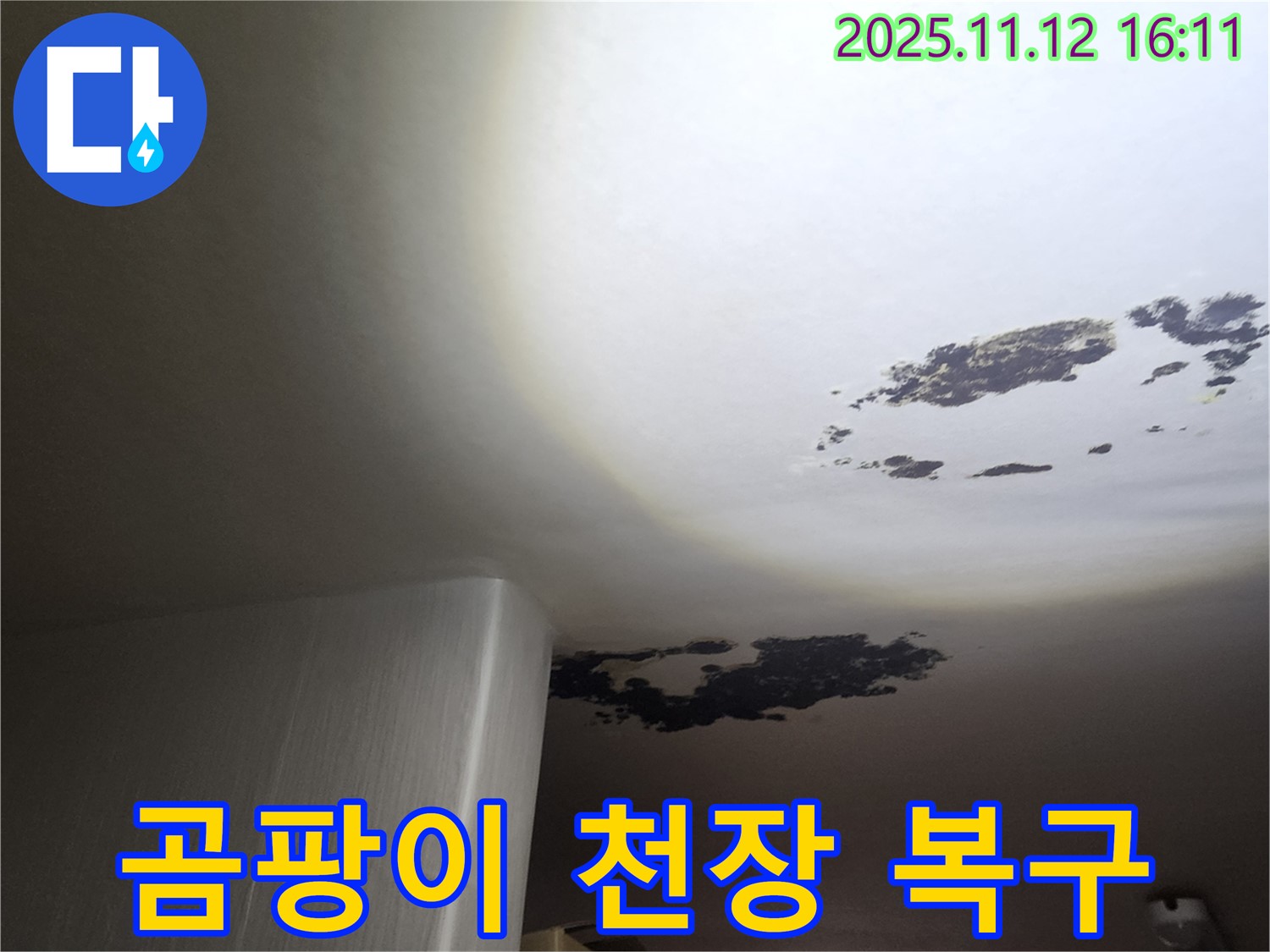 구읍리 누수 - 곰팡이로 오염된 천장 긴급 복구 현장