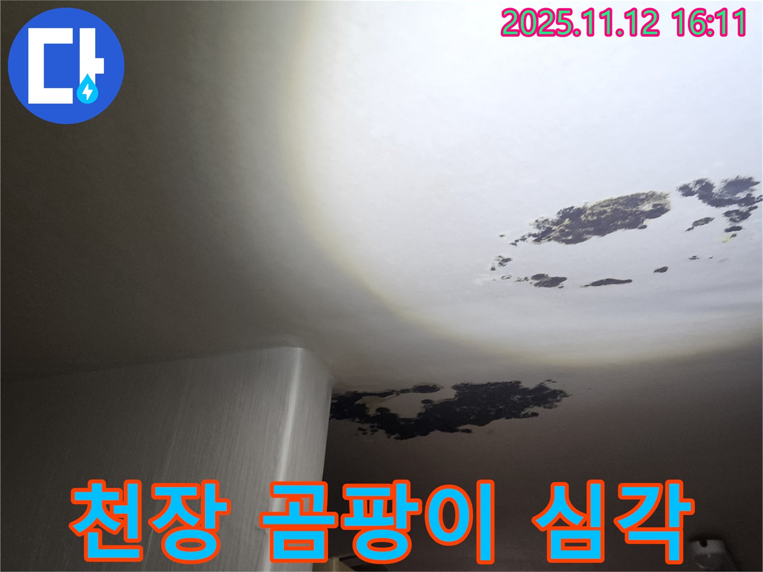 구읍리 누수 - 심각한 천장 곰팡이