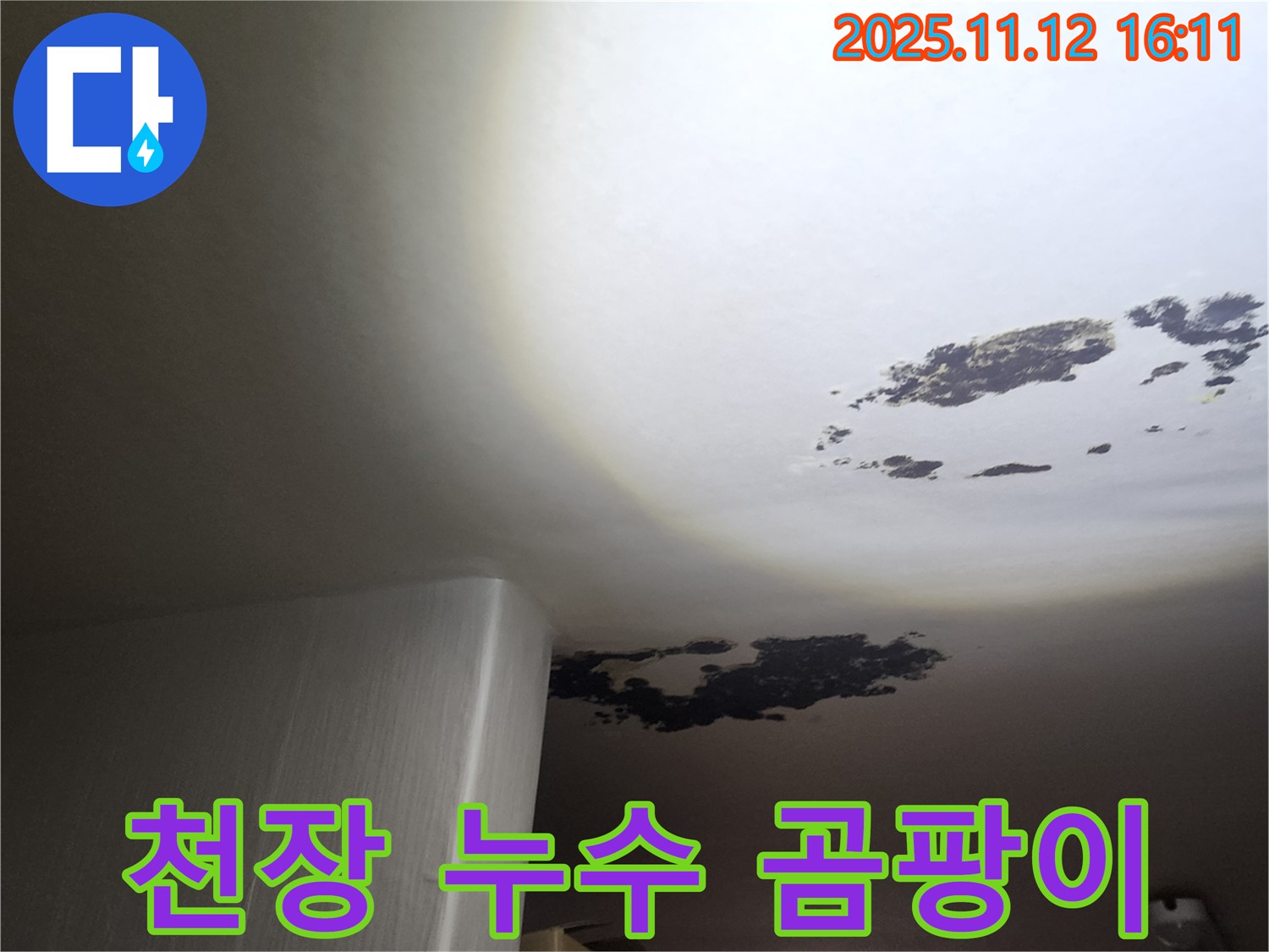구읍리 천장 누수 - 곰팡이로 뒤덮인 천장의 심각한 상태