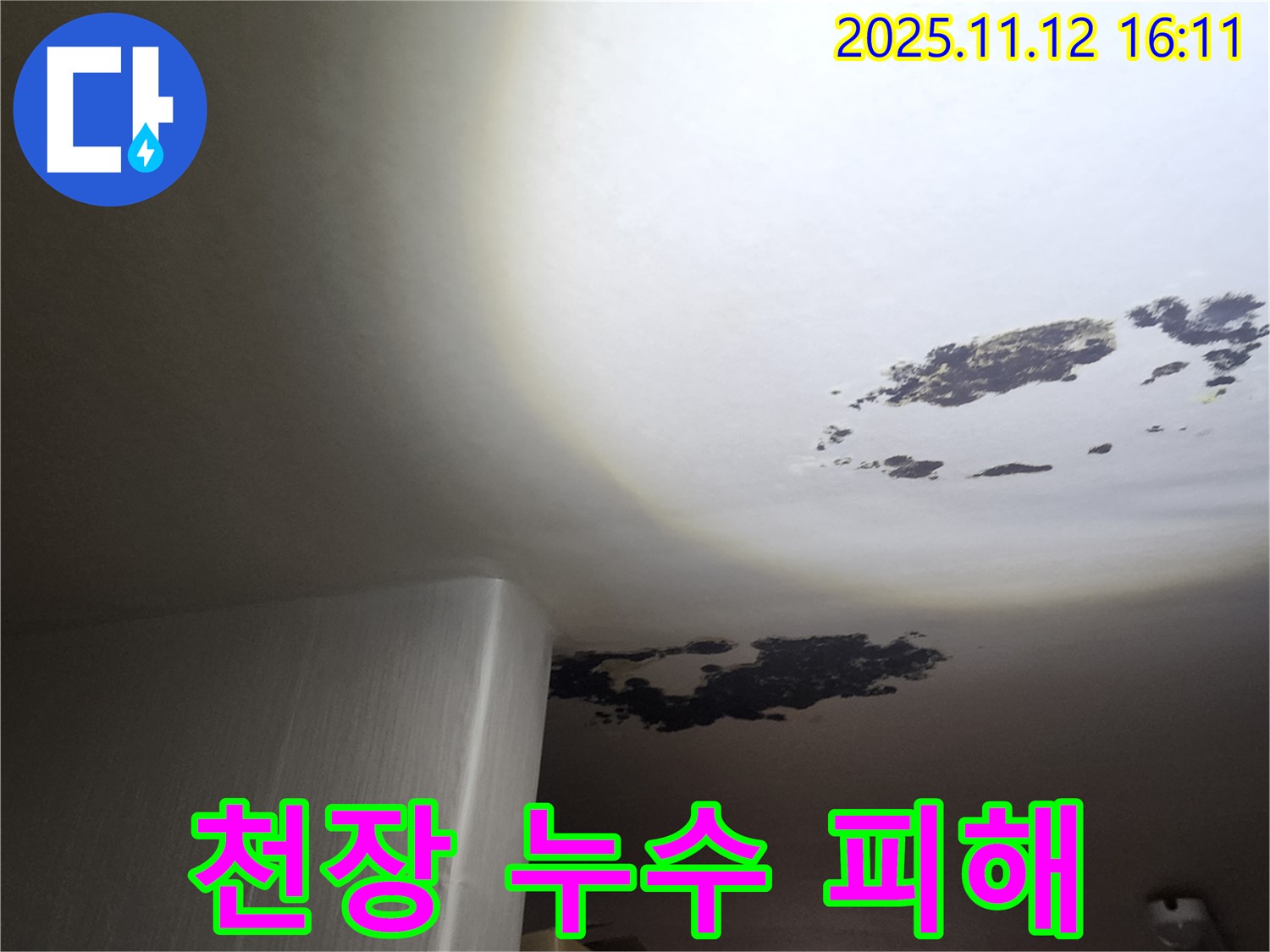 구읍리 천장 누수 - 누수 피해 상황 상세