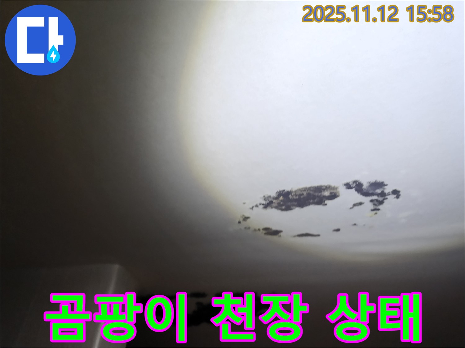 군내면 - 곰팡이가 심각하게 번진 천장 누수 현장
