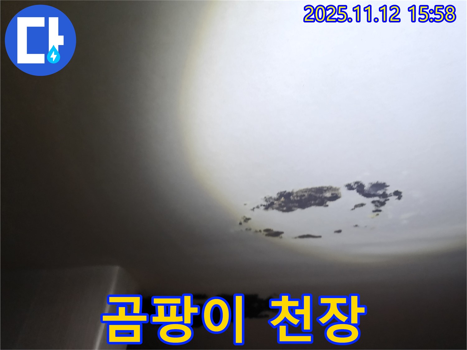 군내면 - 곰팡이가 심하게 핀 천장 누수 현장
