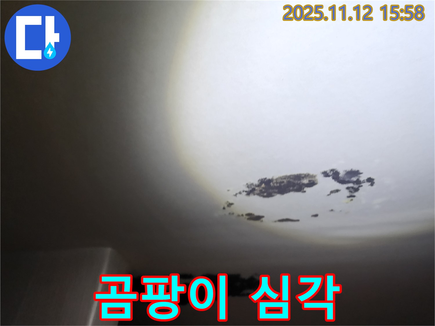군내면 - 곰팡이로 얼룩진 천장 누수 현장