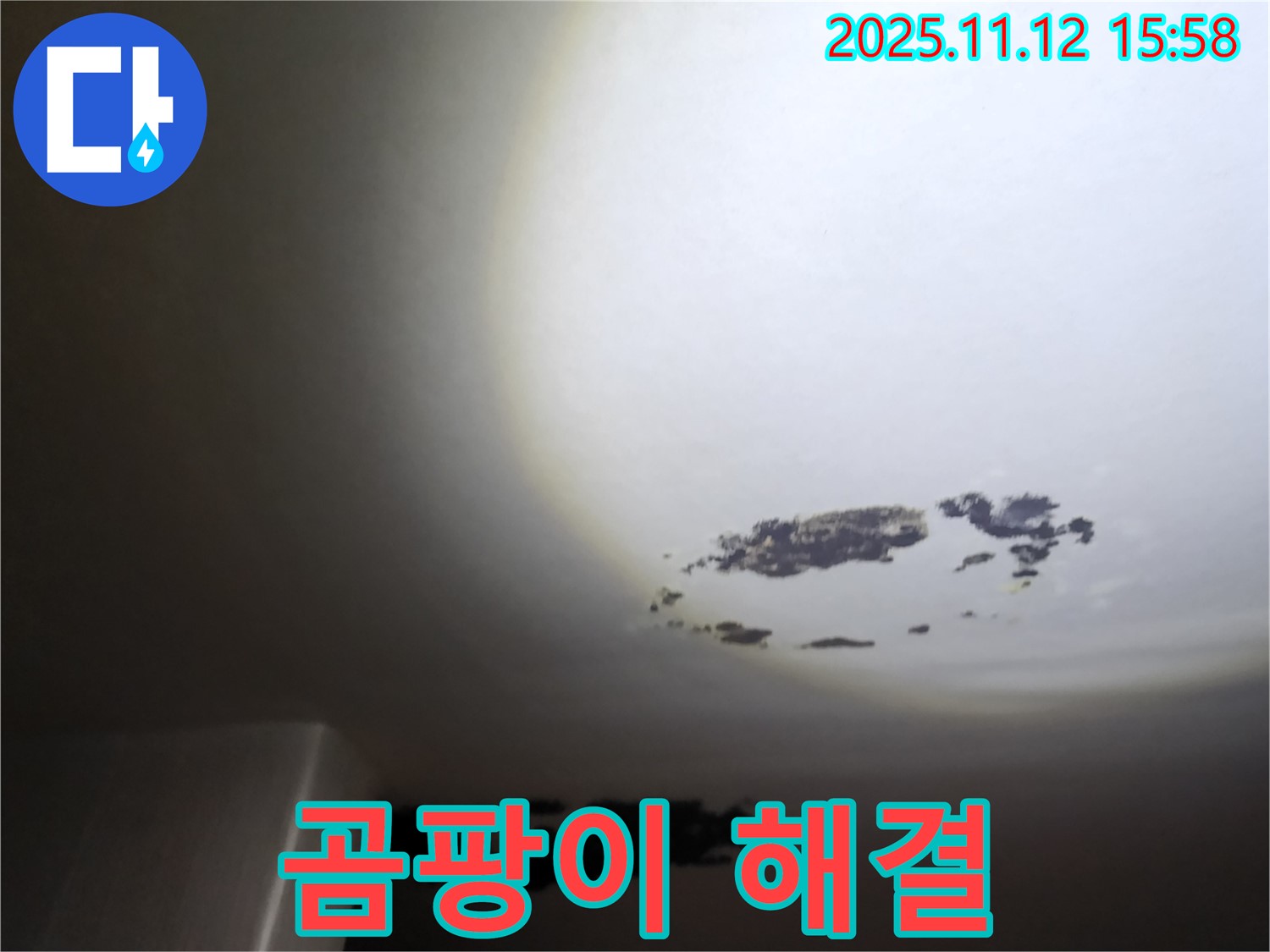군내면 - 깨끗하게 수리된 천장