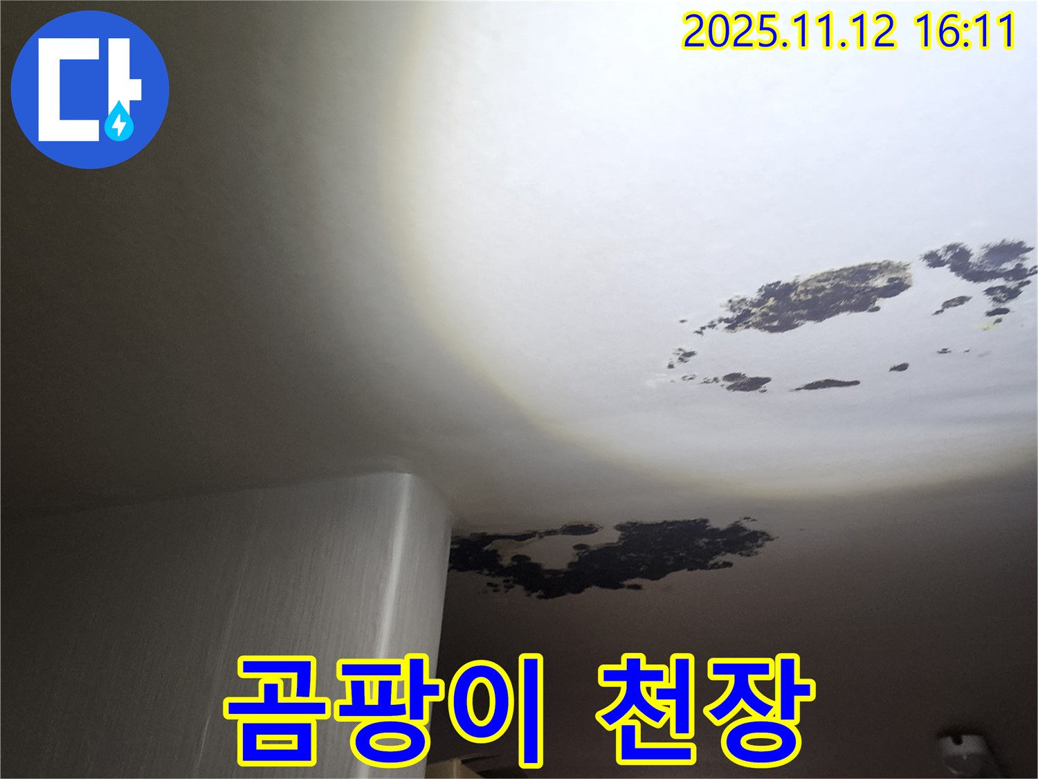 군내면 누수 - 곰팡이로 오염된 천장