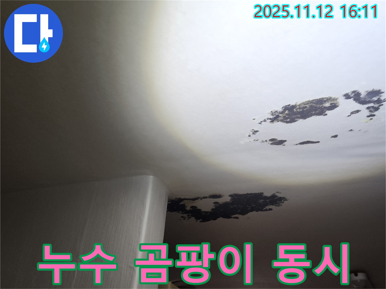군내면 누수 - 누수와 곰팡이가 함께 발생한 천장