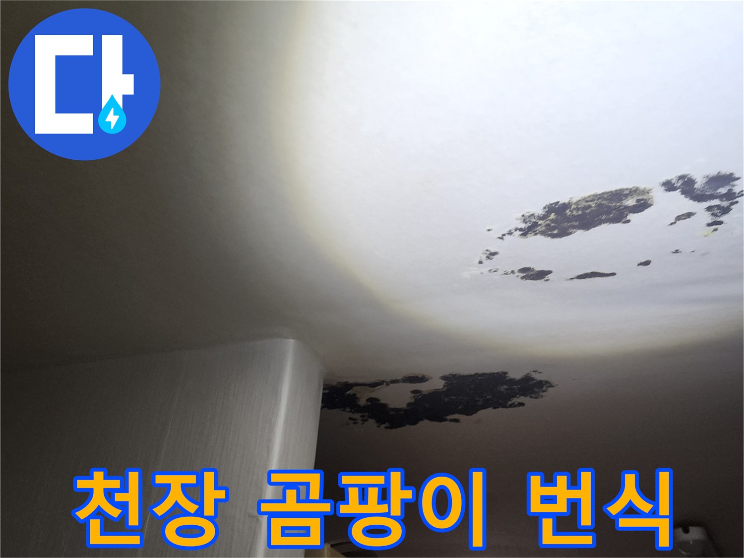 물샘 흔적이 남은 천장의 검은 곰팡이 부위