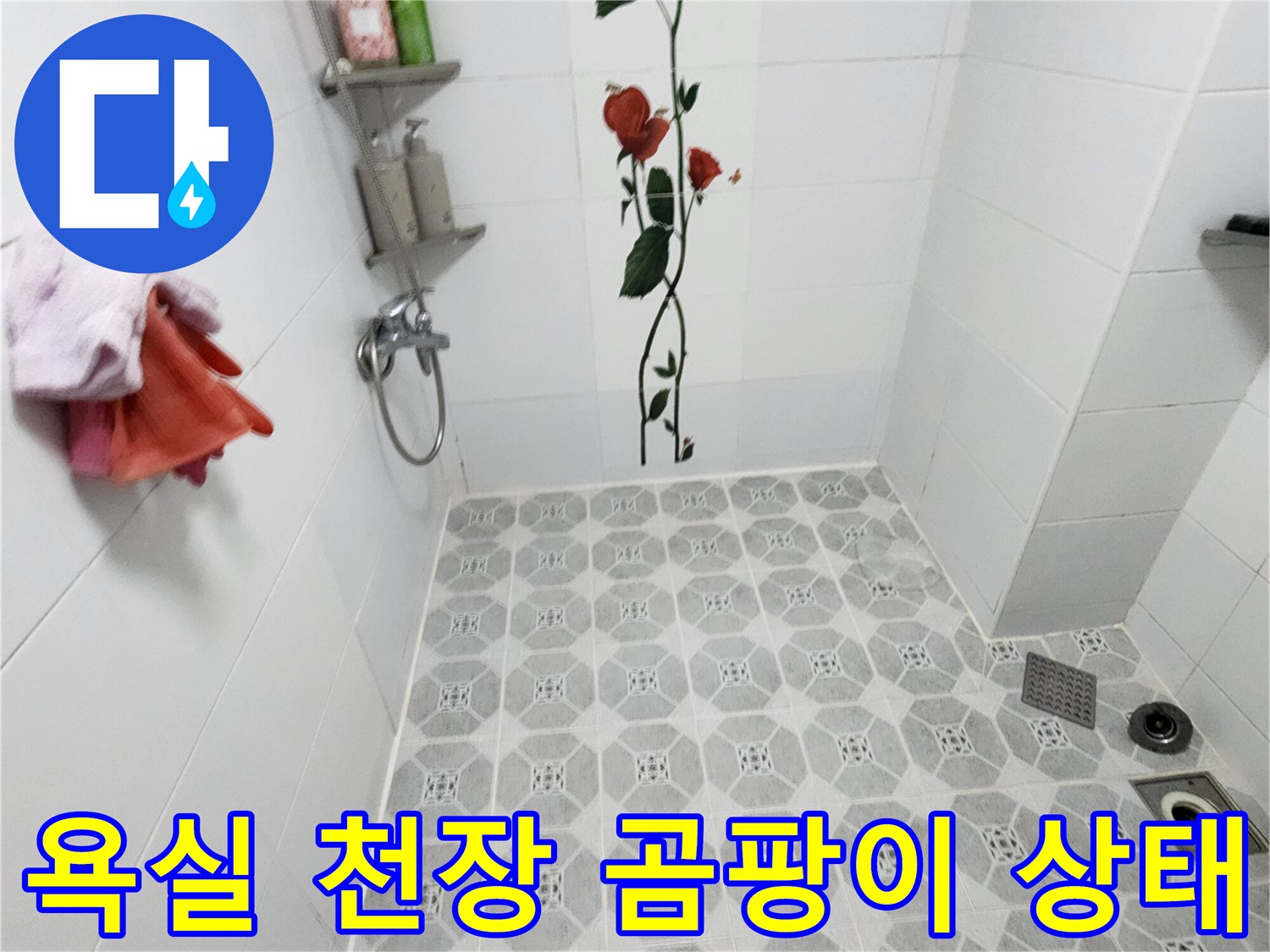 포천 구읍리 화장실-천장 타일의 곰팡이 오염