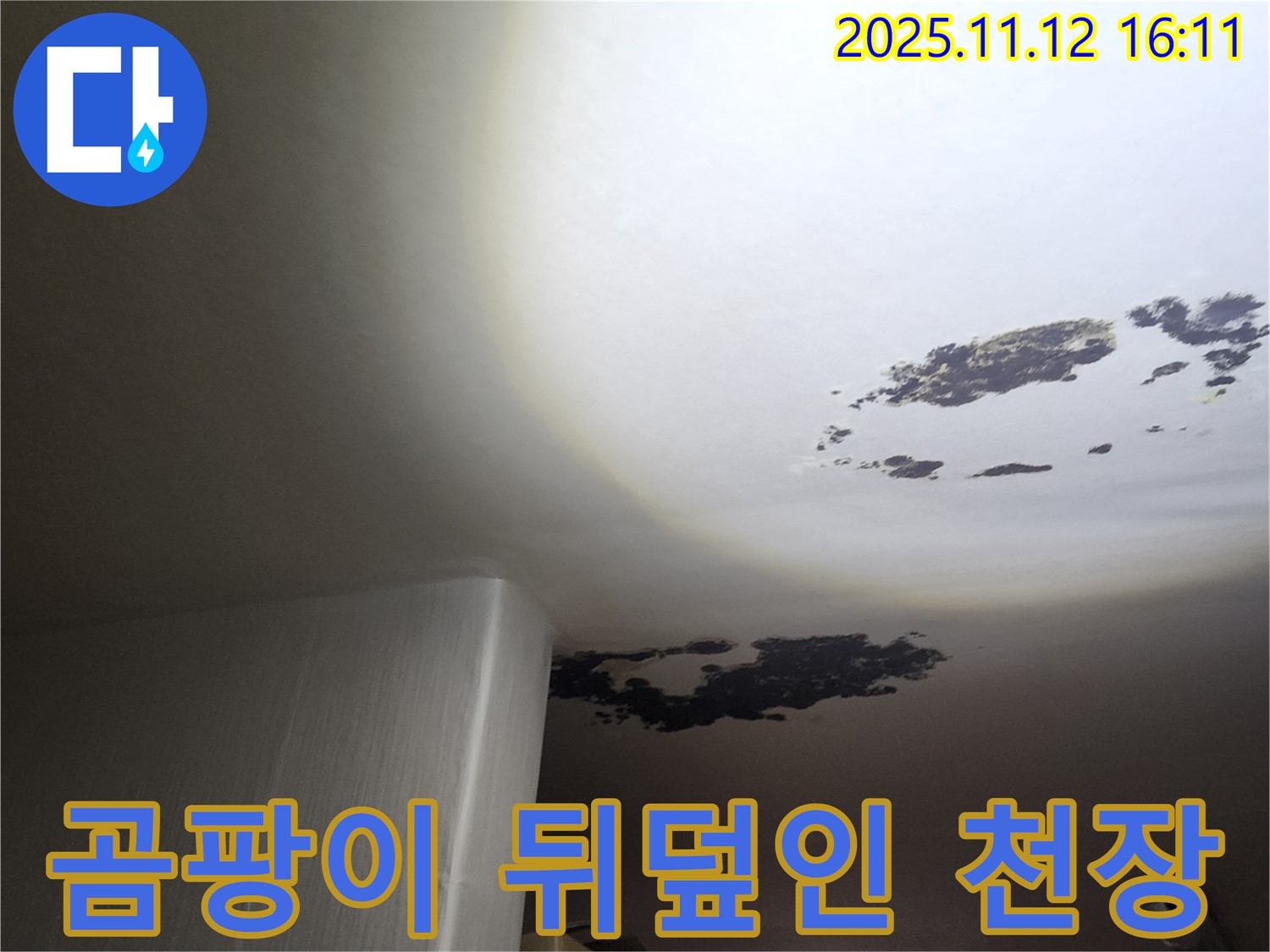 포천 누수 - 곰팡이로 뒤덮인 천장
