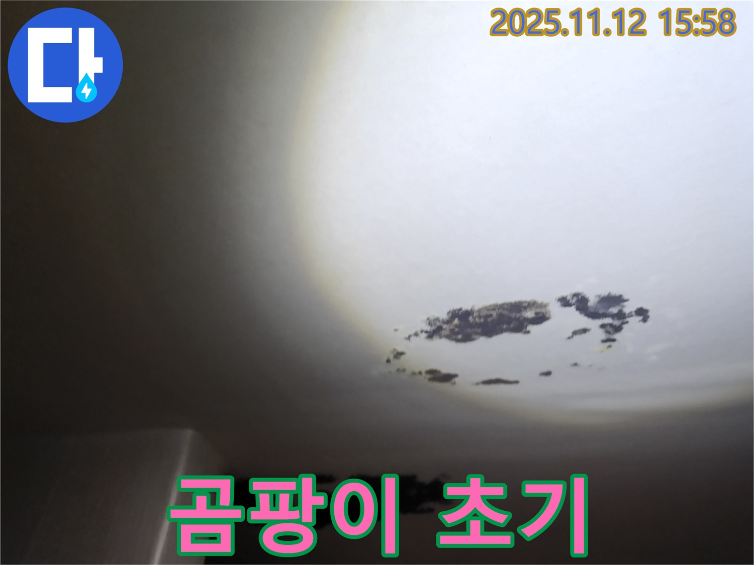 포천시 구읍리 - 곰팡이가 번지기 시작한 천장 누수 현장
