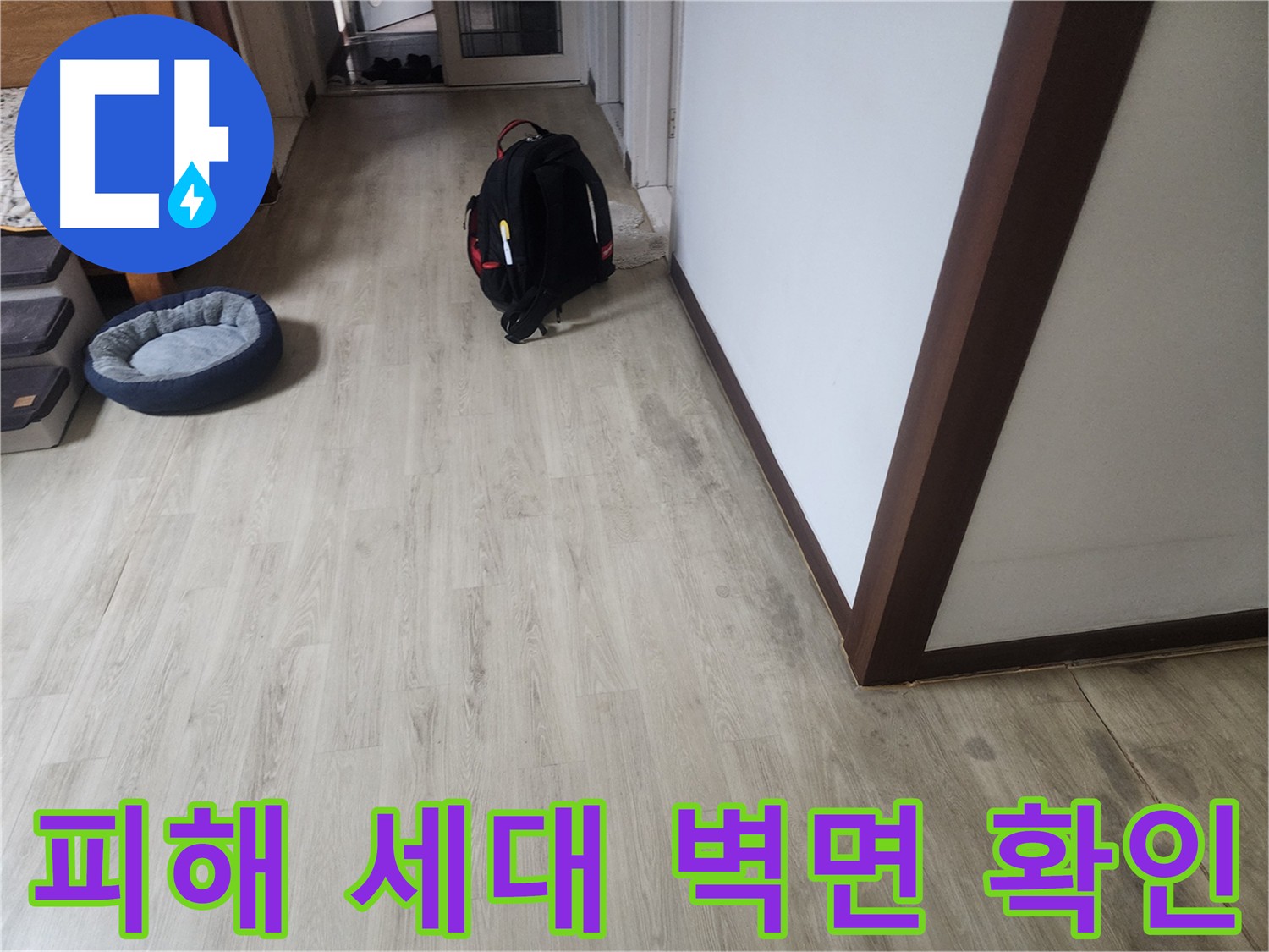 수원 누수탐지 - 피해 세대 주방 벽면 상태 확인 및 과거 누수 이력 조사