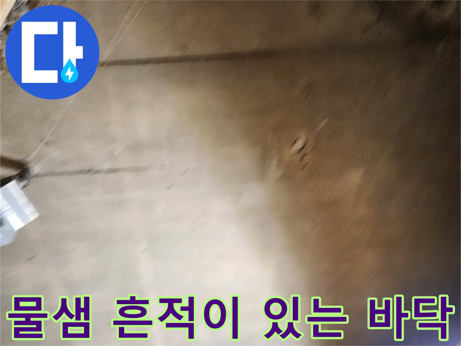 바닥 타일 사이로 습기가 올라온 현장 사진입니다.