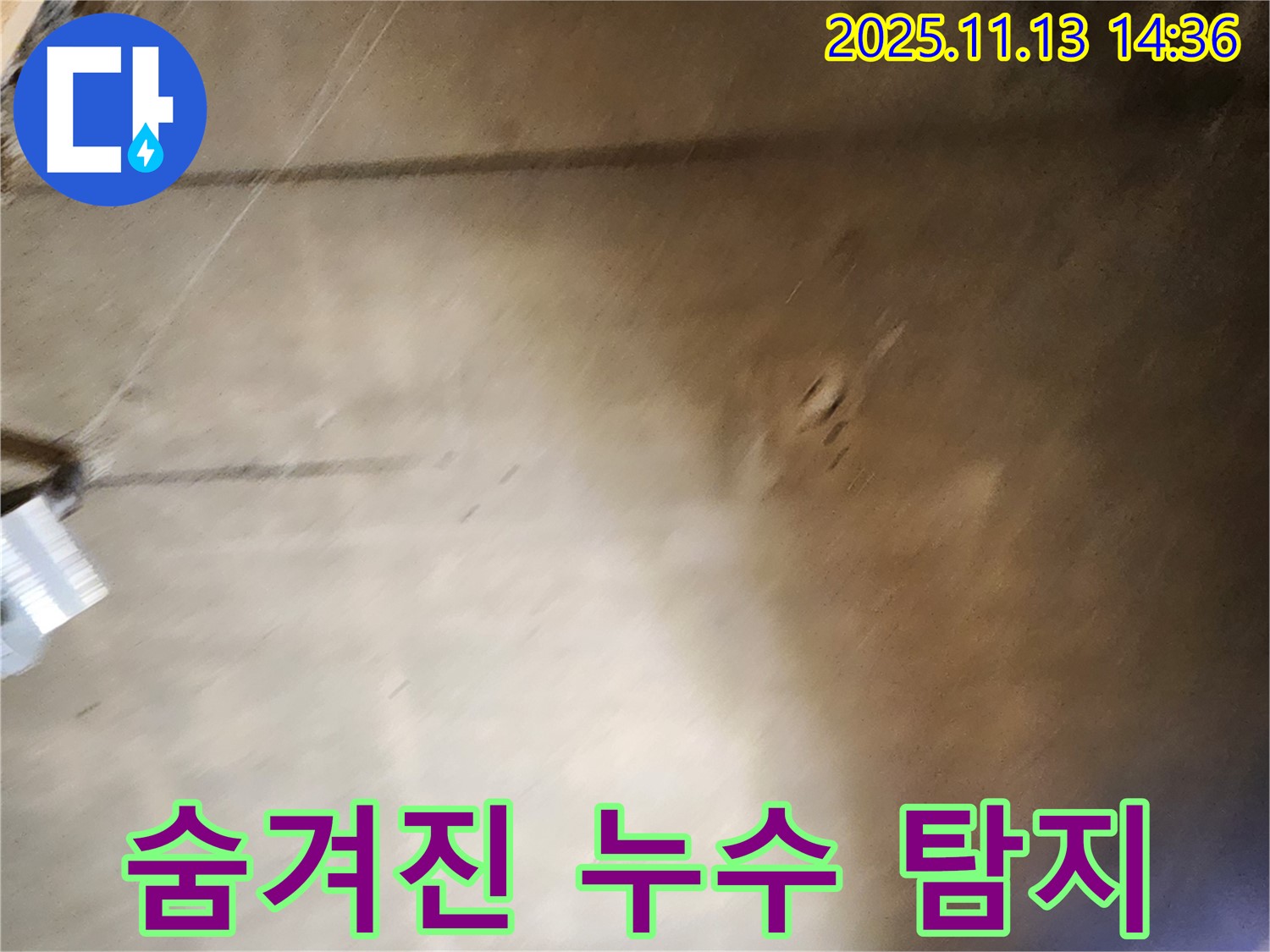 유교리 누수 - 숨겨진 누수까지 완벽하게 탐지