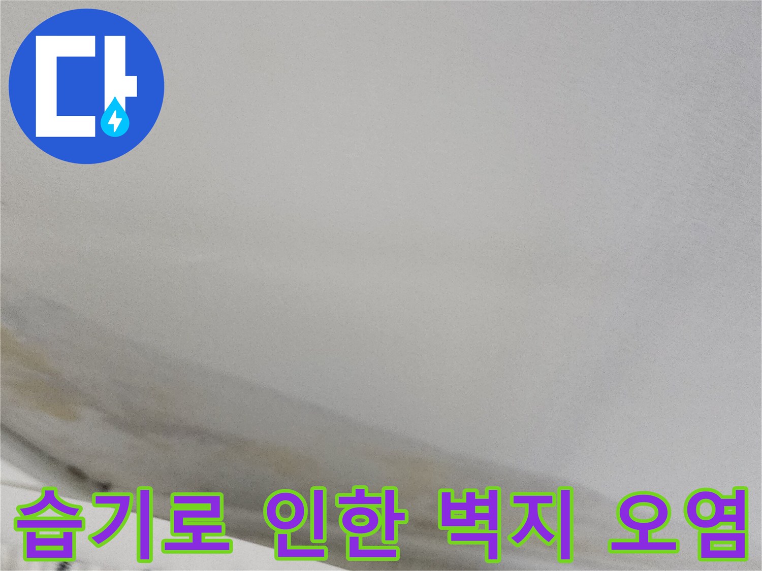 벽지 하단의 누런 변색과 젖은 부위