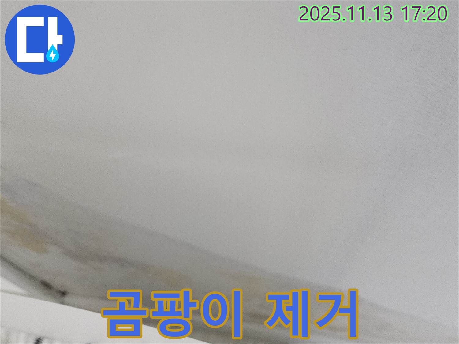 좌의리 누수 - 천장 곰팡이 제거 및 누수 문제 해결