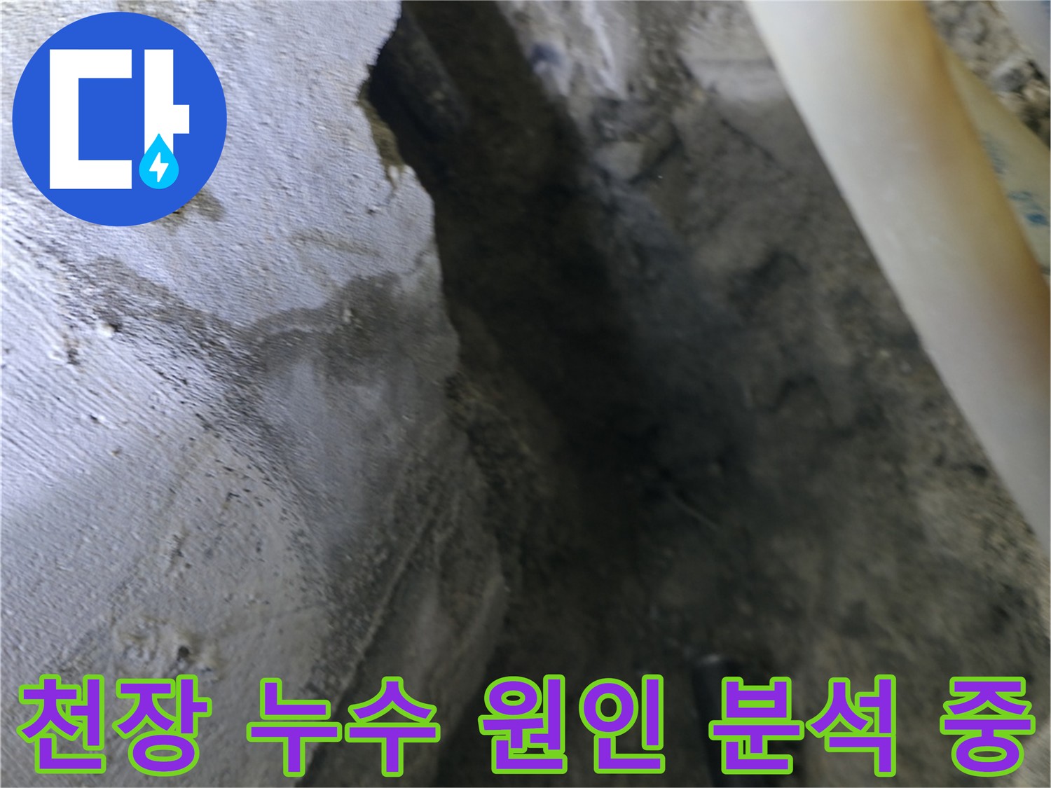 천장 누수의 정확한 원인을 - 꼼꼼하게 분석하고 있습니다.