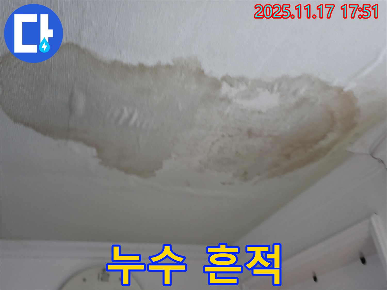 대림동 아파트 천장 누수 흔적 - 젖은 천장