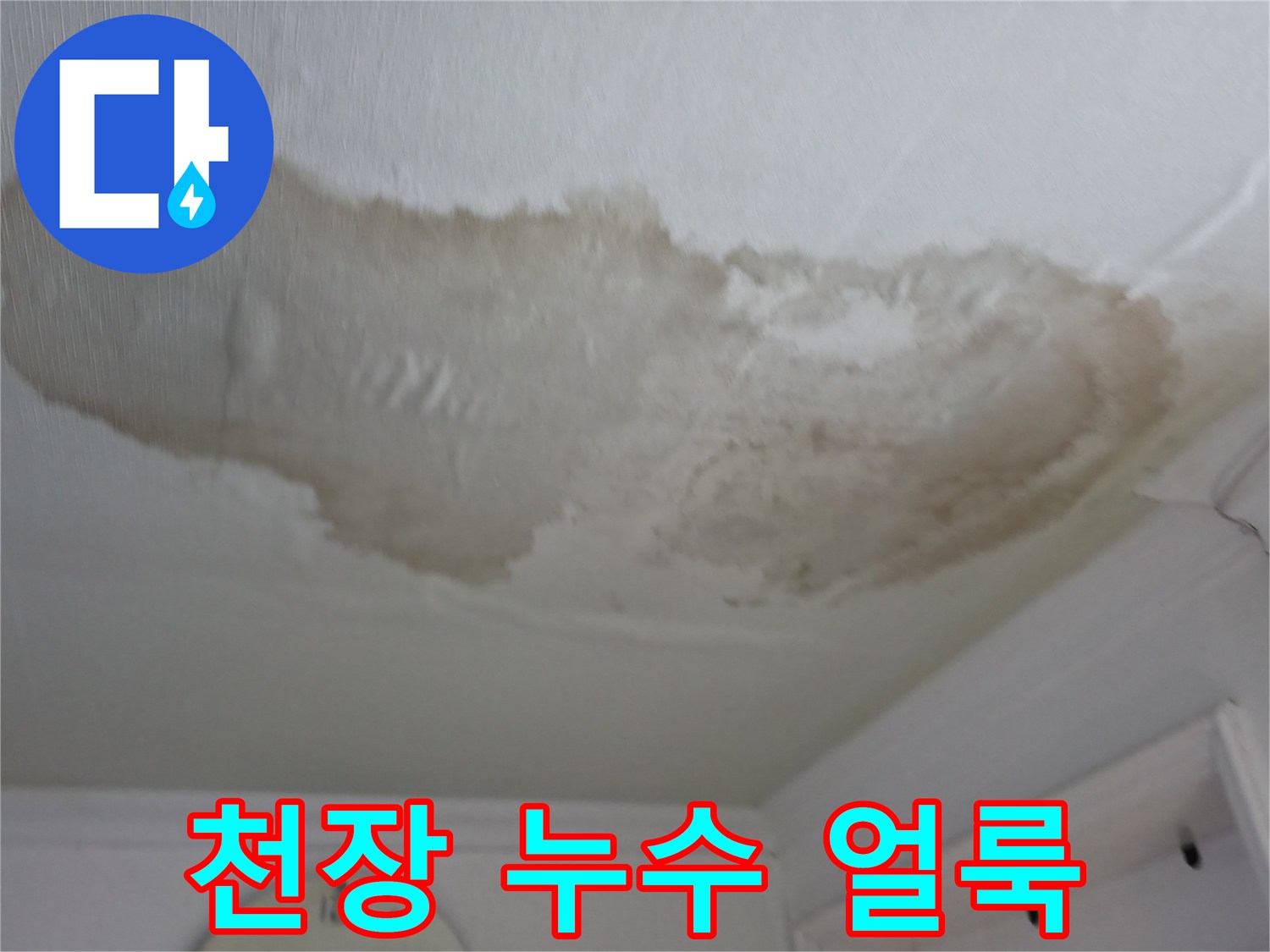 대림동 아파트 천장 누수 얼룩 - 누수 피해