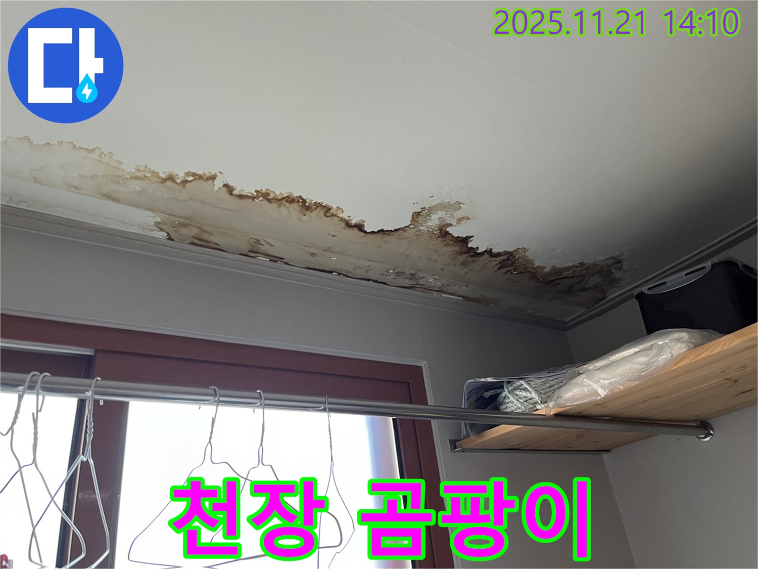 가능동 누수 - 곰팡이 핀 천장, 건강 위협