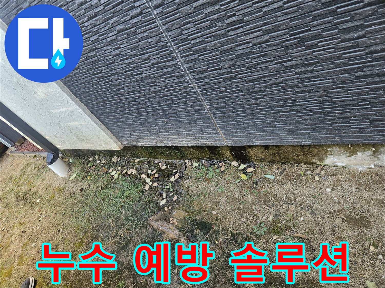 이천 아리역로 주택 외부 누수 예방 솔루션 - 맞춤형 솔루션 제공