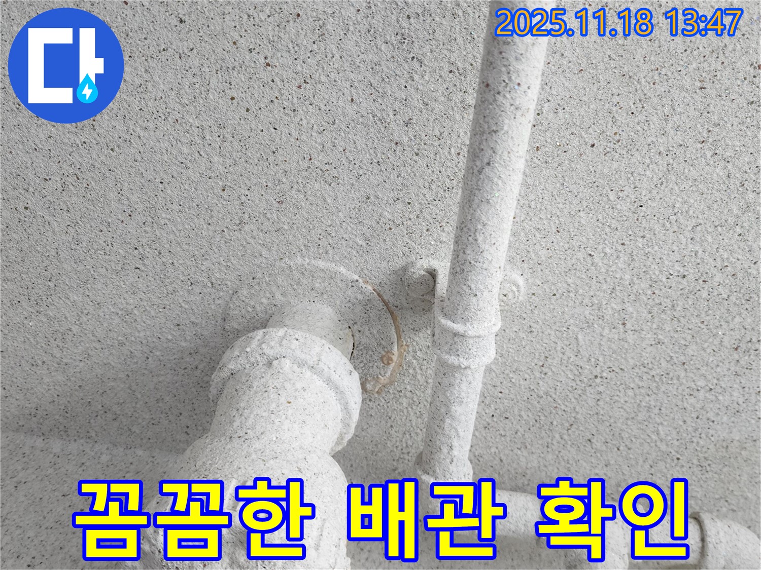진목리 천장 누수 - 꼼꼼한 배관 확인 작업
