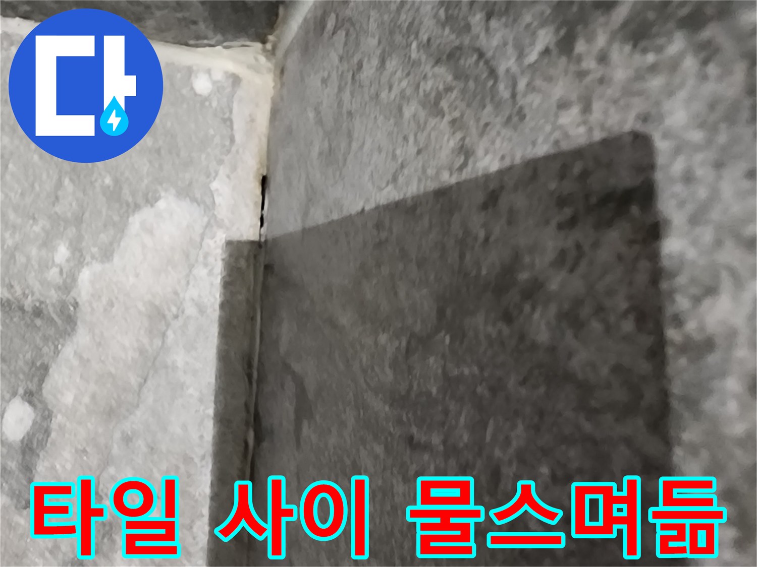 내촌면 현장-타일 틈새 습기 침투 확인