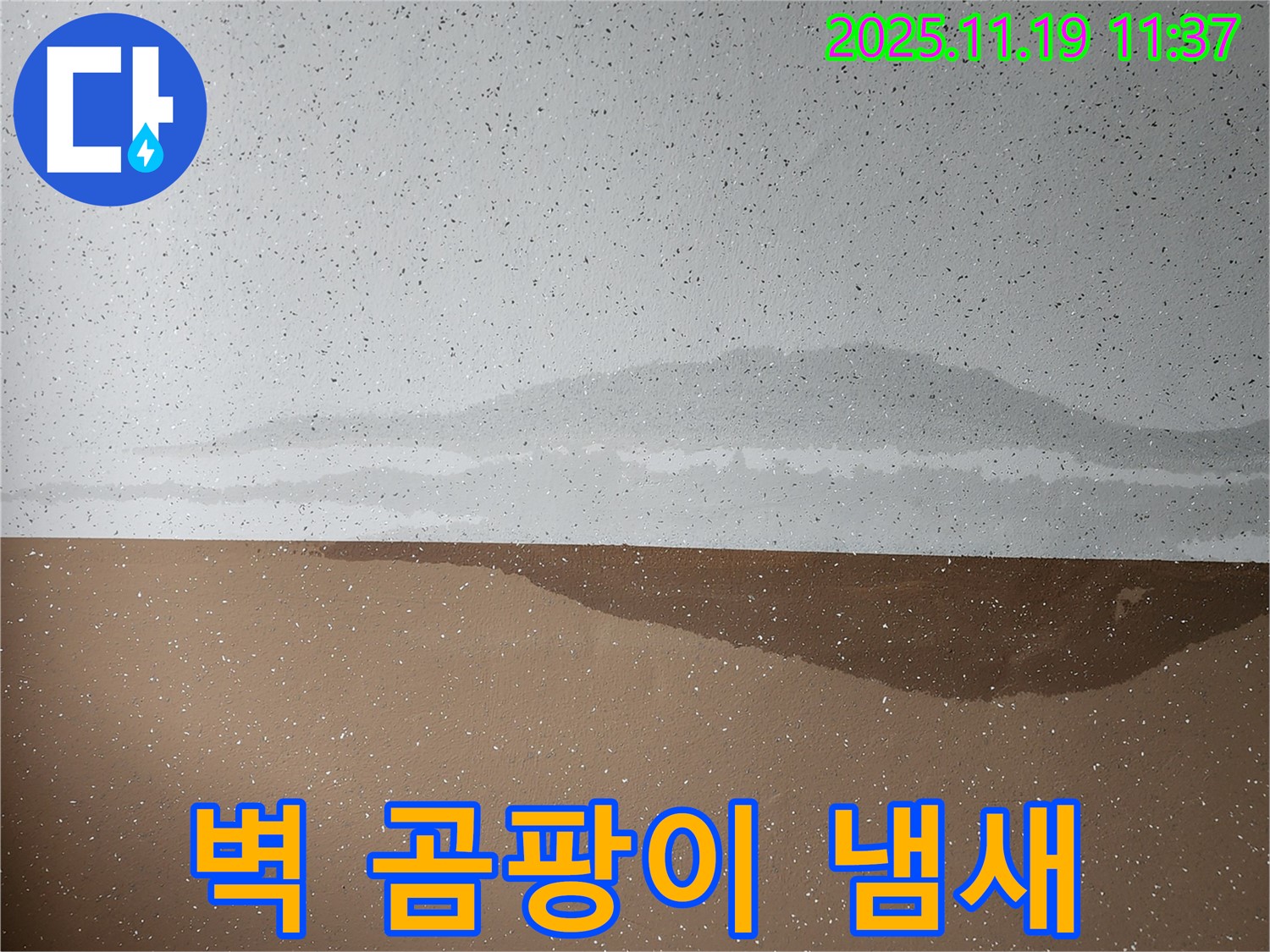 벽 곰팡이 냄새 - 건강 위협
