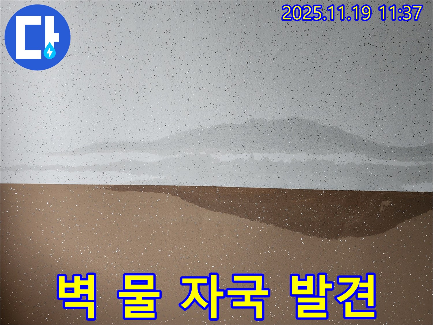 벽 물 자국 - 초기 발견 중요