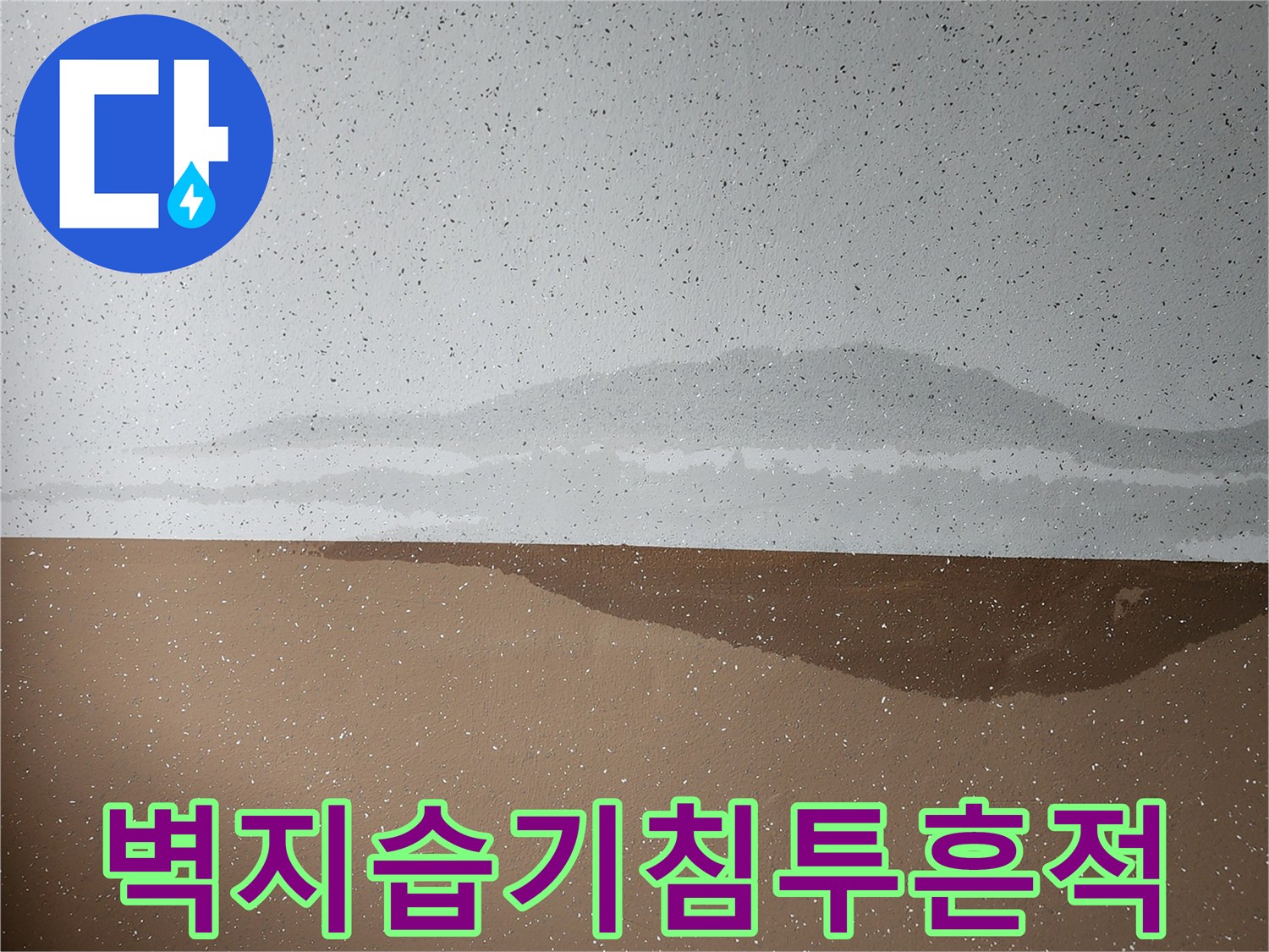 벽지-하단부의-짙은-변색과-물기-침투