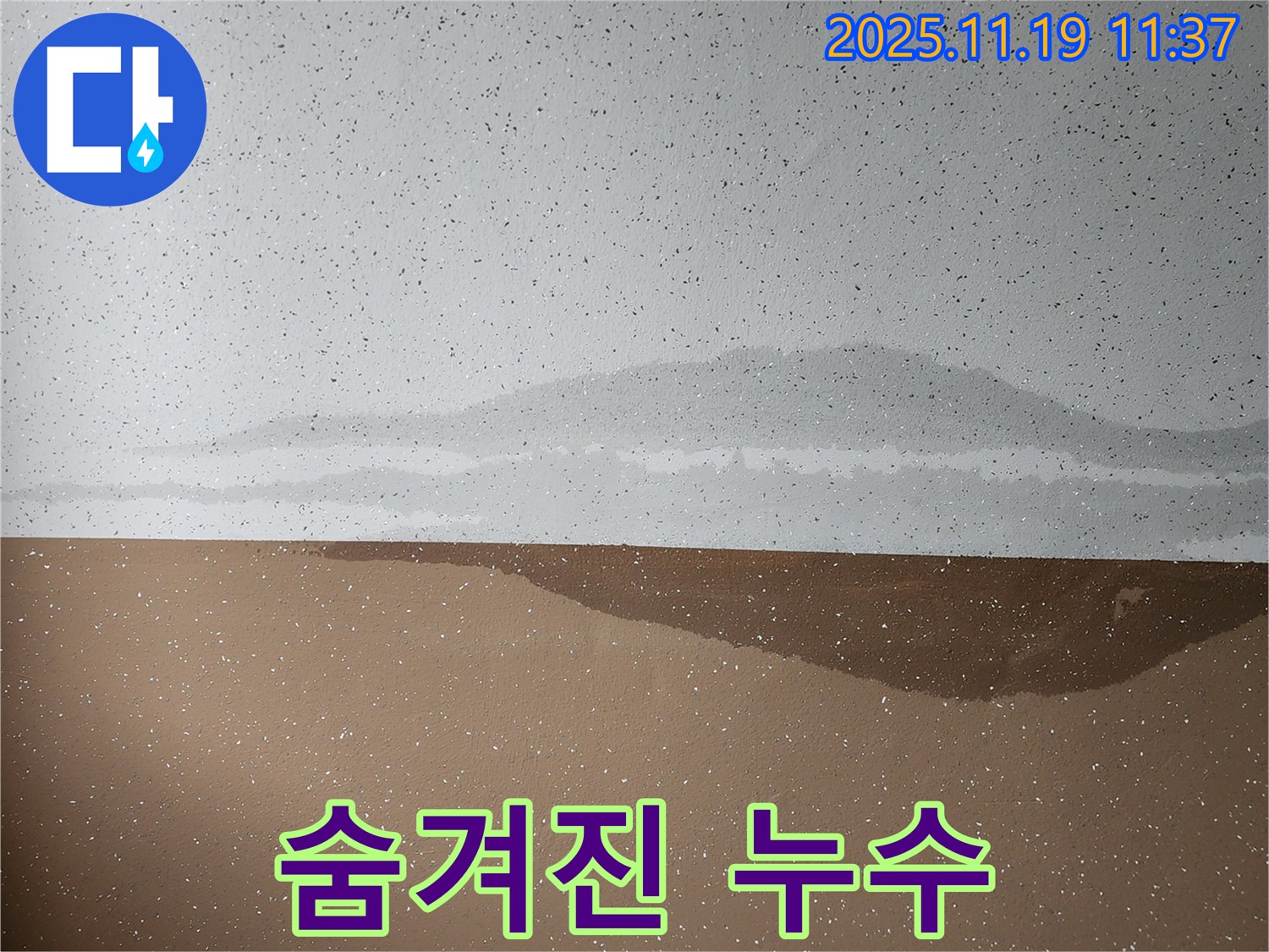 숨겨진 누수 - 첨단 장비 탐지