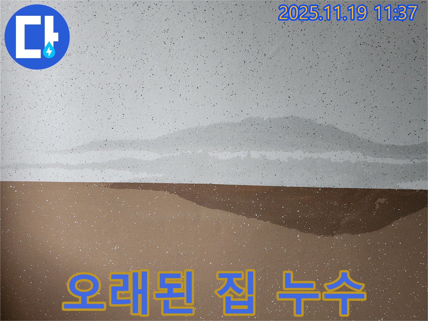 오래된 집 누수 - 문제 해결