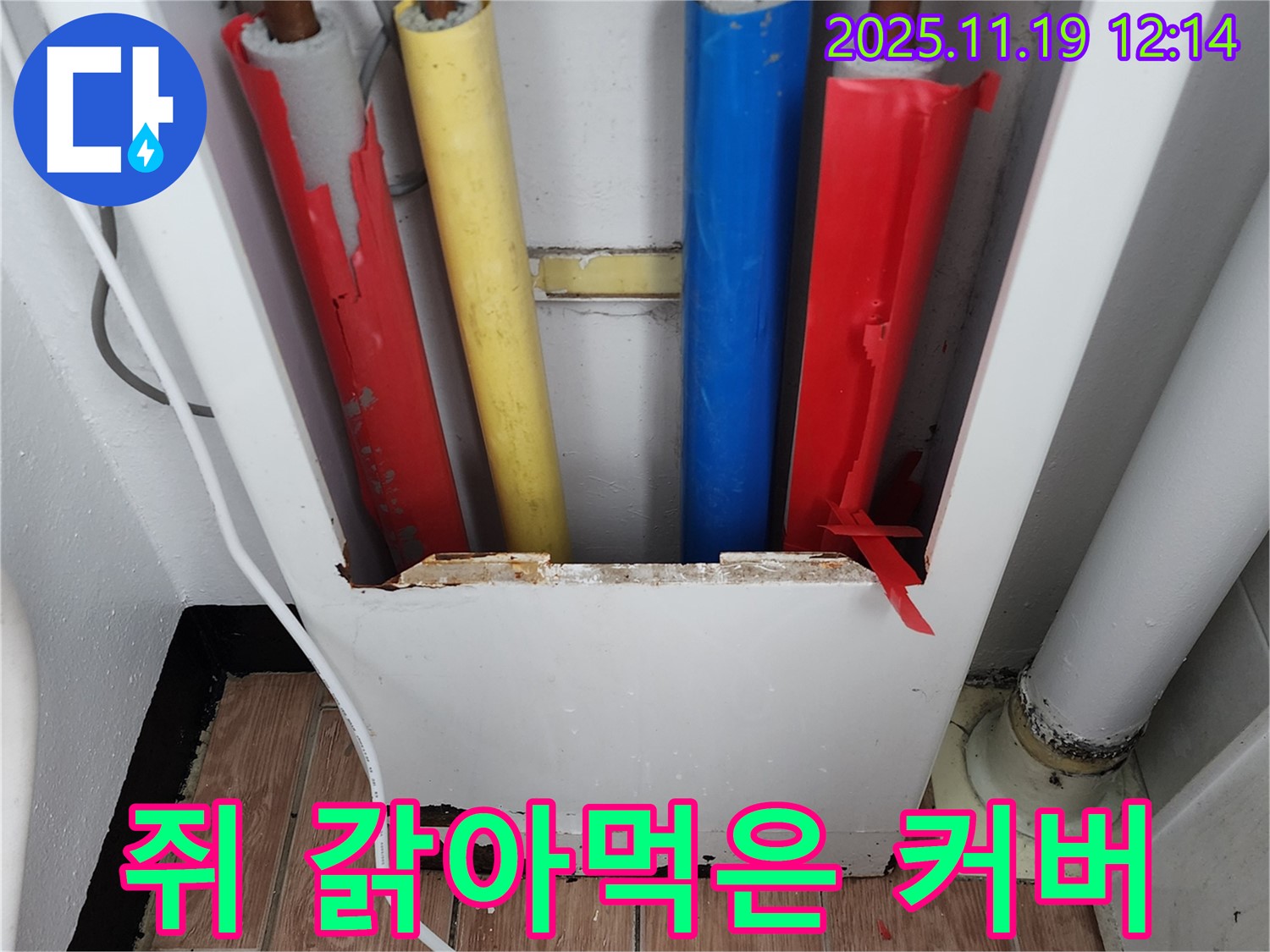 쥐가 갉아먹은 배관 커버 - 위생에도 좋지 않습니다.