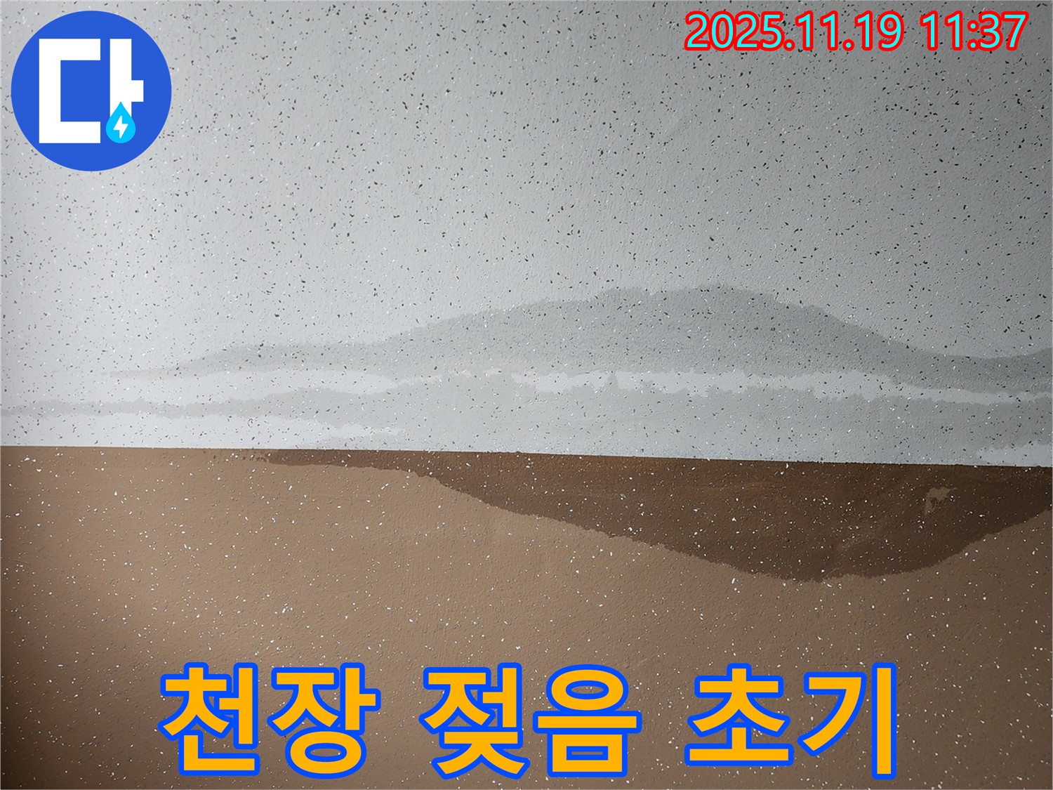 천장 젖음 초기 - 누수 초기 증상 확인 필요