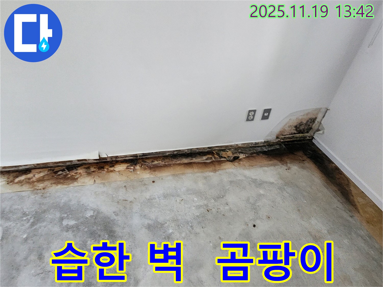 습한 벽과 곰팡이 - 내촌리 누수 해결이 우선