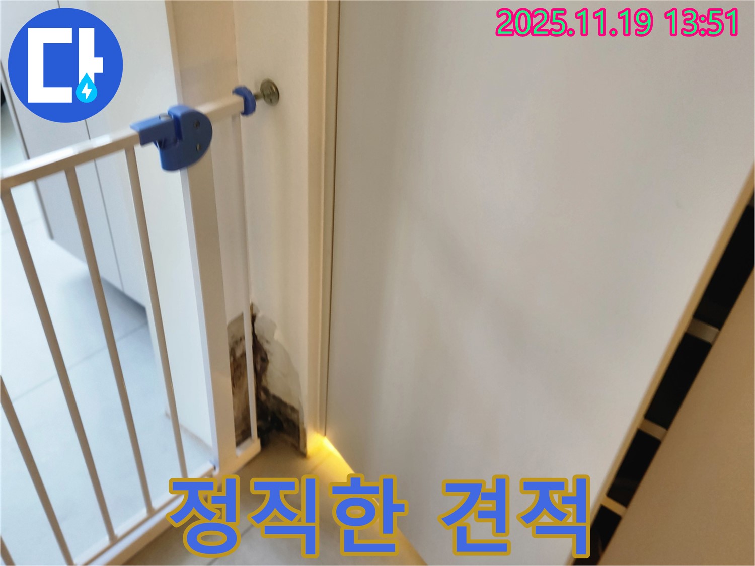 정직한 벽 누수 견적 - 투명한 비용
