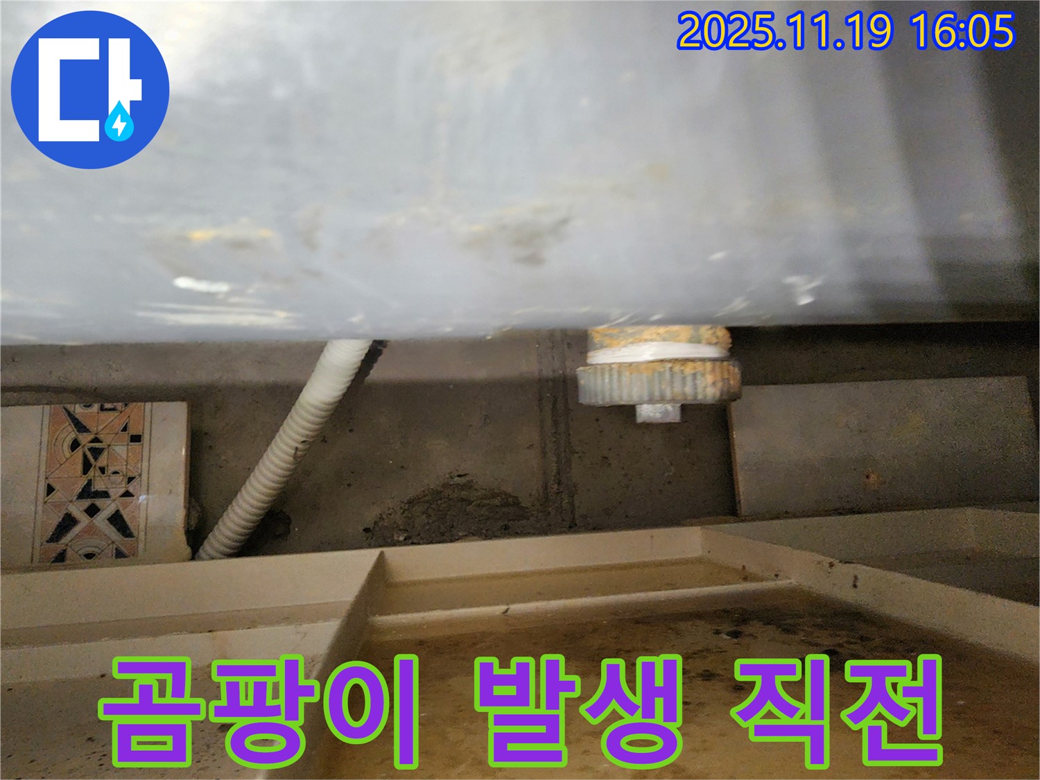 싱크대 하부 곰팡이 발생 직전 - 습기 주의
