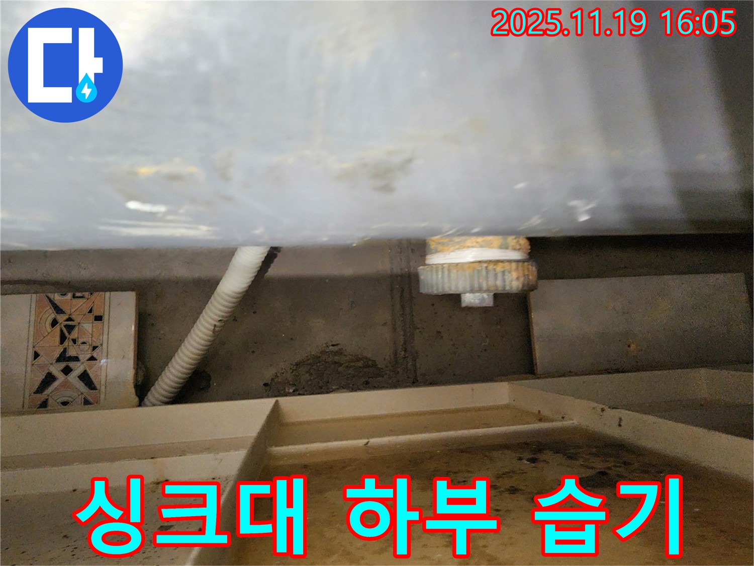 싱크대 하부의 습기 찬 모습 - 곰팡이 발생 위험