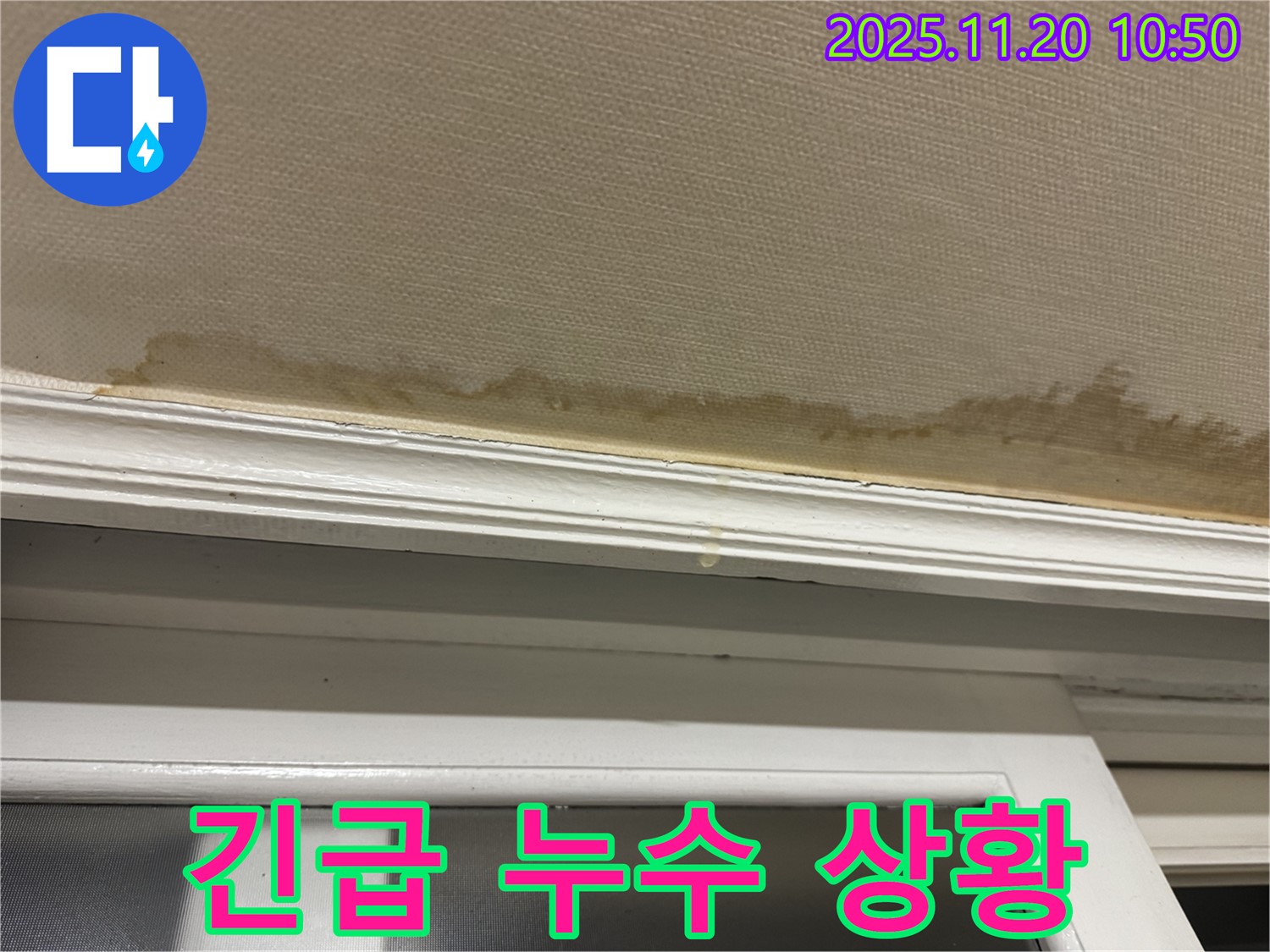 긴급 누수 - 물 떨어짐 - 빠른 조치