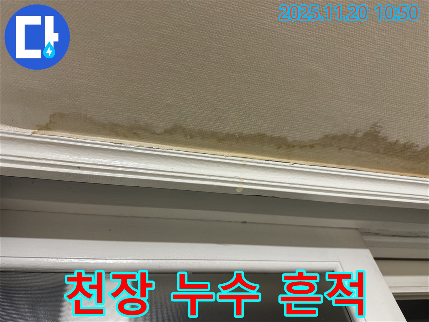 누수 흔적 - 변색된 천장 - 곰팡이